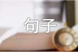 简洁的生活感悟的句子摘录56句
