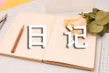 【精华】豆芽观察日记模板锦集6篇