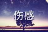 2023年通用伤感句子汇编96条