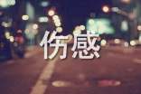 精选古风伤感句子摘录80句