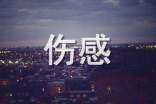 2026年简单的伤感个性句子合集49条