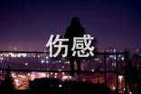 【精华】2023年qq空间伤感句子合集58句