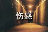 2026年常用伤感个性句子汇编96句