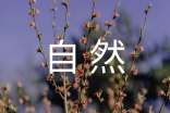 【精华】神奇的大自然作文十篇